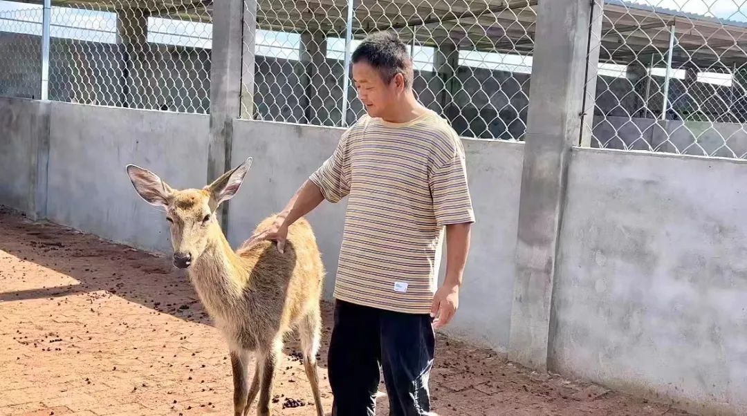 捕鱼单机电脑版